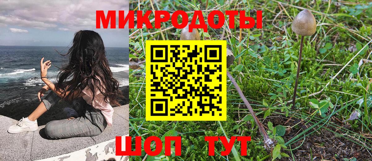 Избербаш  Галлюциногенные грибы MAGIC MUSHROOMS  Вход с VPN 